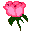 Send Roses to Ukraine